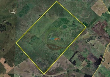 1805 Ha Mixto - Las Flores