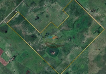 286 Ha Ganadero - Cañuelas - Gdor Udaondo