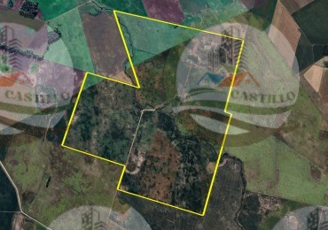 340 Ha Agricolas - Tandil