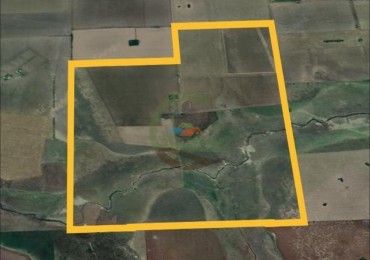 545 Ha Mixtas - Pergamino
