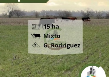 15 Ha Mixtas - Gral Rodriguez