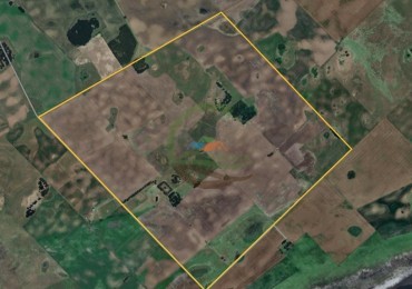 400 ha mixtas - guamini