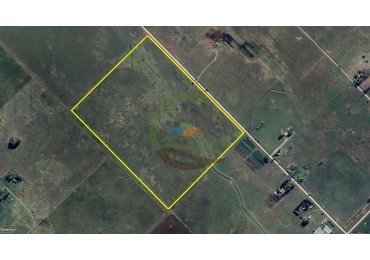 47 ha mixto - Olavarria