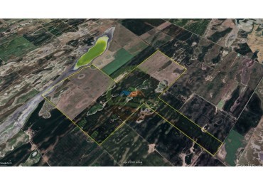 436 ha agricolas - Trenque Lauquen