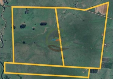 218 Ha Ganadero - Chajari - Entre Rios