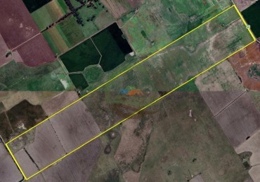 229 ha Mixto - Navarro