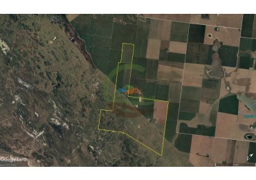 810 Ha Mixto - Coronel Dorrego