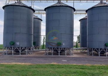 515 ha MIxtas - Pergamino