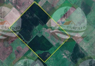 88 Ha Agricolas - Ayacucho 