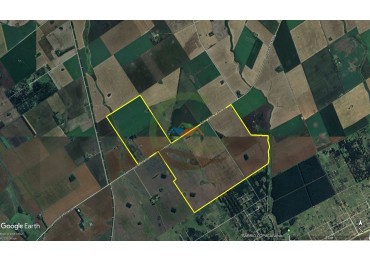 540 ha agricolas - miramar