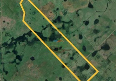 227 Ha Mixto - Rauch