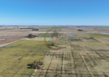 432 Ha Ganadero -  Ayacucho