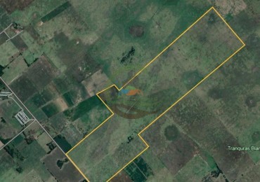 173 ha MIxtas - Navarro