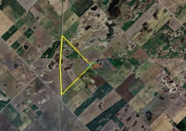 117 Ha Agricolas - Salazar - Daireaux