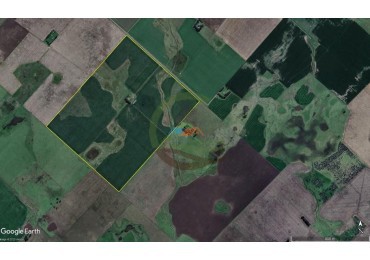 155 Ha Agricolas - Necochea