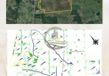 1420 Ha . Olivares - Lujan
