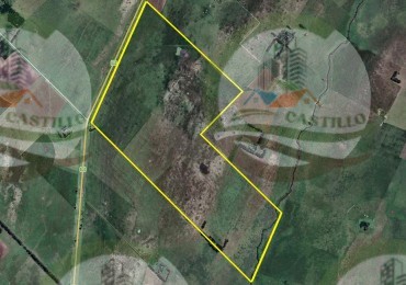 290 Ha Mixto - Rauch