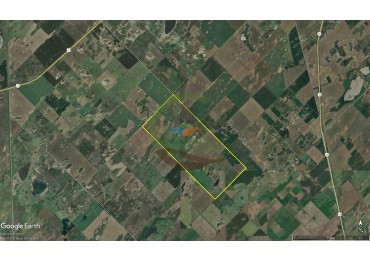 682 Ha Mixto - Trenque Lauquen