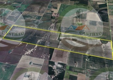 600 Ha Agricolas - Cintra - Cordoba