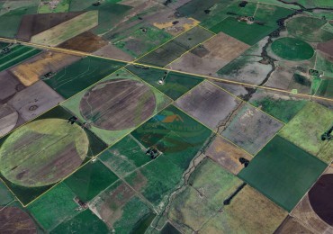 320 Ha Agricolas - Salto
