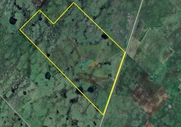 886 ha Ganadero - Crotto - tapalque