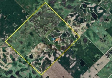 186 HA Mixtas - Hortensia - Carlos Casares