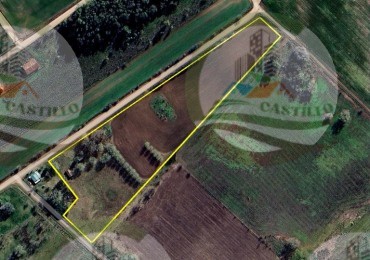 5 Ha Mixta - Alberti - Quintana