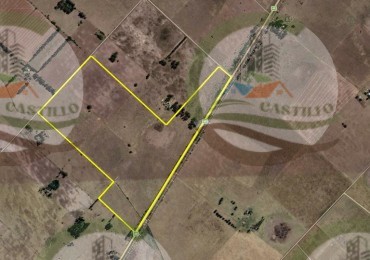 74,5 ha Mixto - Zapiola - Lobos