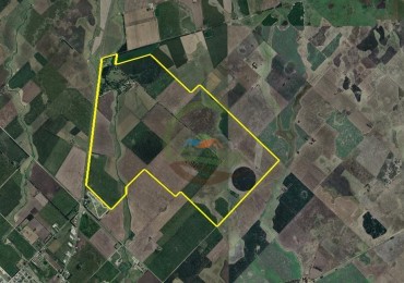 1583 ha Mixto - Loberia