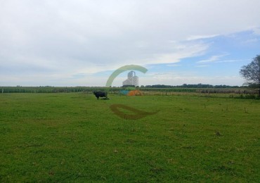 378 Ha Mixto - Realico - La Pampa
