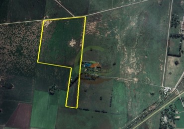 38 Ha Agricola - Pergamino