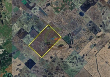 164 ha Agricolas - Carlos Casares - Ordoqui