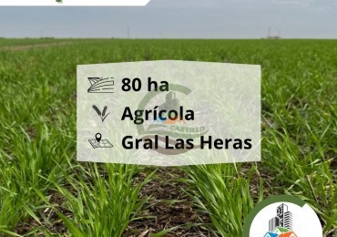 80 Ha Agricolas . General Las Heras - Alquiler