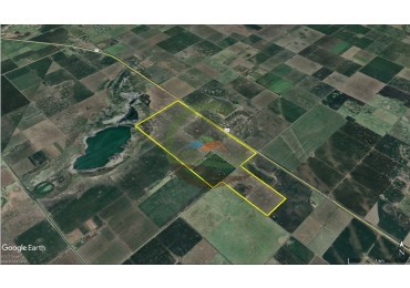360 Ha Agricolas - Gral Villegas
