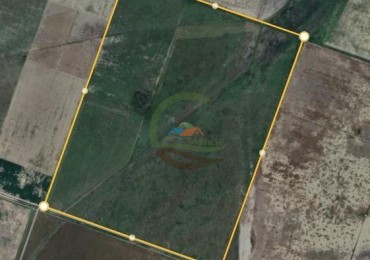 223 Ha Agricolas - El Florentino - Cordoba  