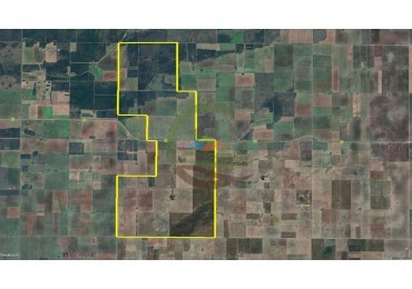 3780 Ha Mixto - Alpachiri - Guatrache - La Pampa
