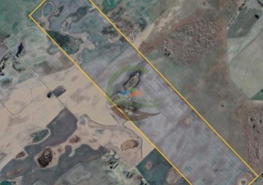 178 Ha Agricolas - Trenque Lauquen