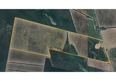 487 Ha Agricolas - Monte Quemado - Santiago del Estero