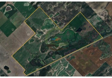 447 Ha Mixtas - Mones Cazon - Pehuajo