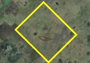 333 Ha Mixto - Balcarce