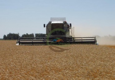 763 Ha Mixto - Villa Saboya - Gral Villegas