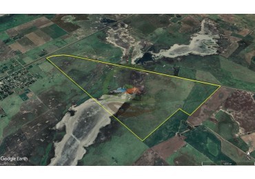 467 Ha Ganadero - Timote - Carlos Tejedor