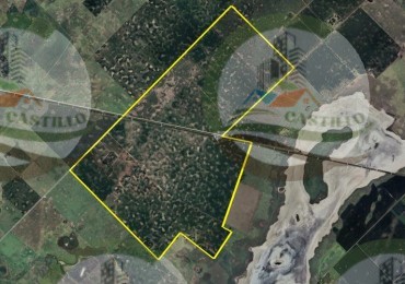 760 Ha Agricolas - Lincoln