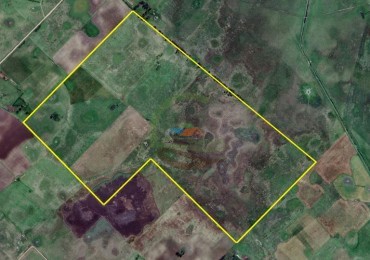 254 Ha Mixta - Vilela - Las Flores