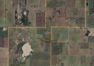 1020 Ha Mixto - Realico - La Pampa