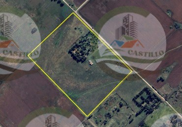 50 Ha Mixto - Olavarria