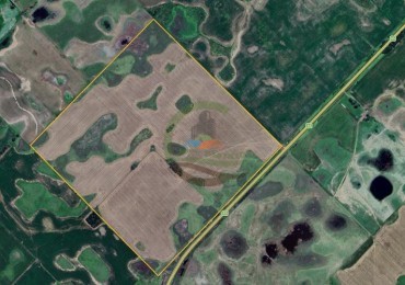 99 ha Mixto - 9 de Julio - Corbett