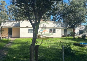 72 Ha Mixto - Chivilcoy