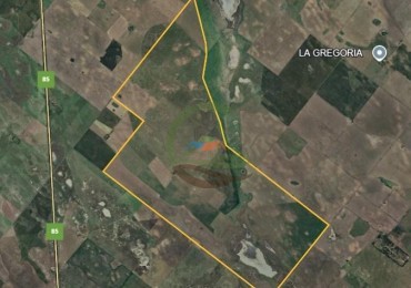 1087 Ha Mixto - Guamini