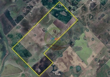 377 Ha Agricolas - San Miguel del Monte 